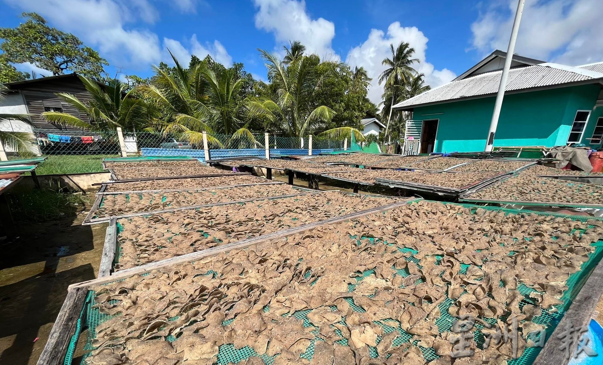 东：《东游记●去走走》“传统工艺生产，瓜拉彭亨鱼饼热销各地。”