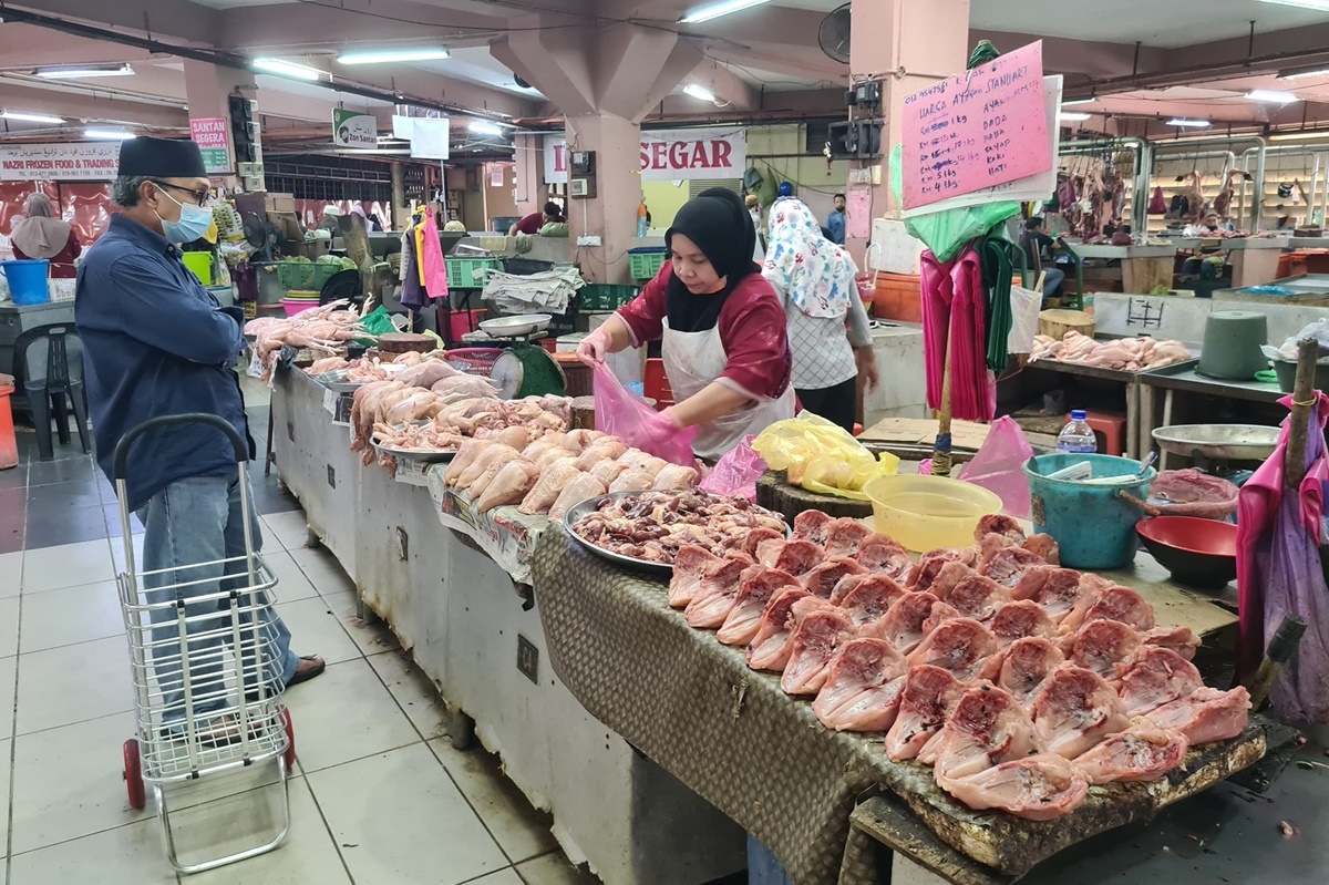 东:丹州鸡只供应近期大约减量50%,鸡肉价格已上升到每公斤10令吉50仙。