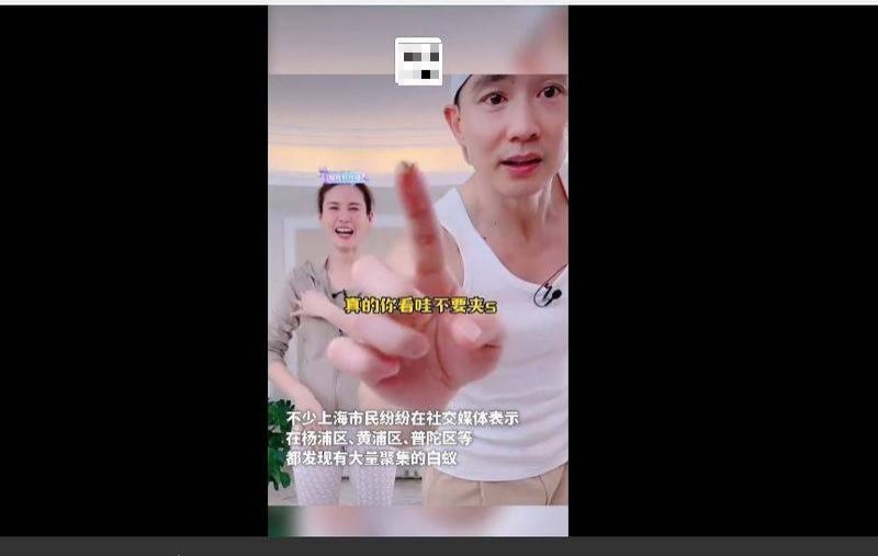 刘畊宏直播忙抓白蚁 王婉霏崩溃:钻进我身体