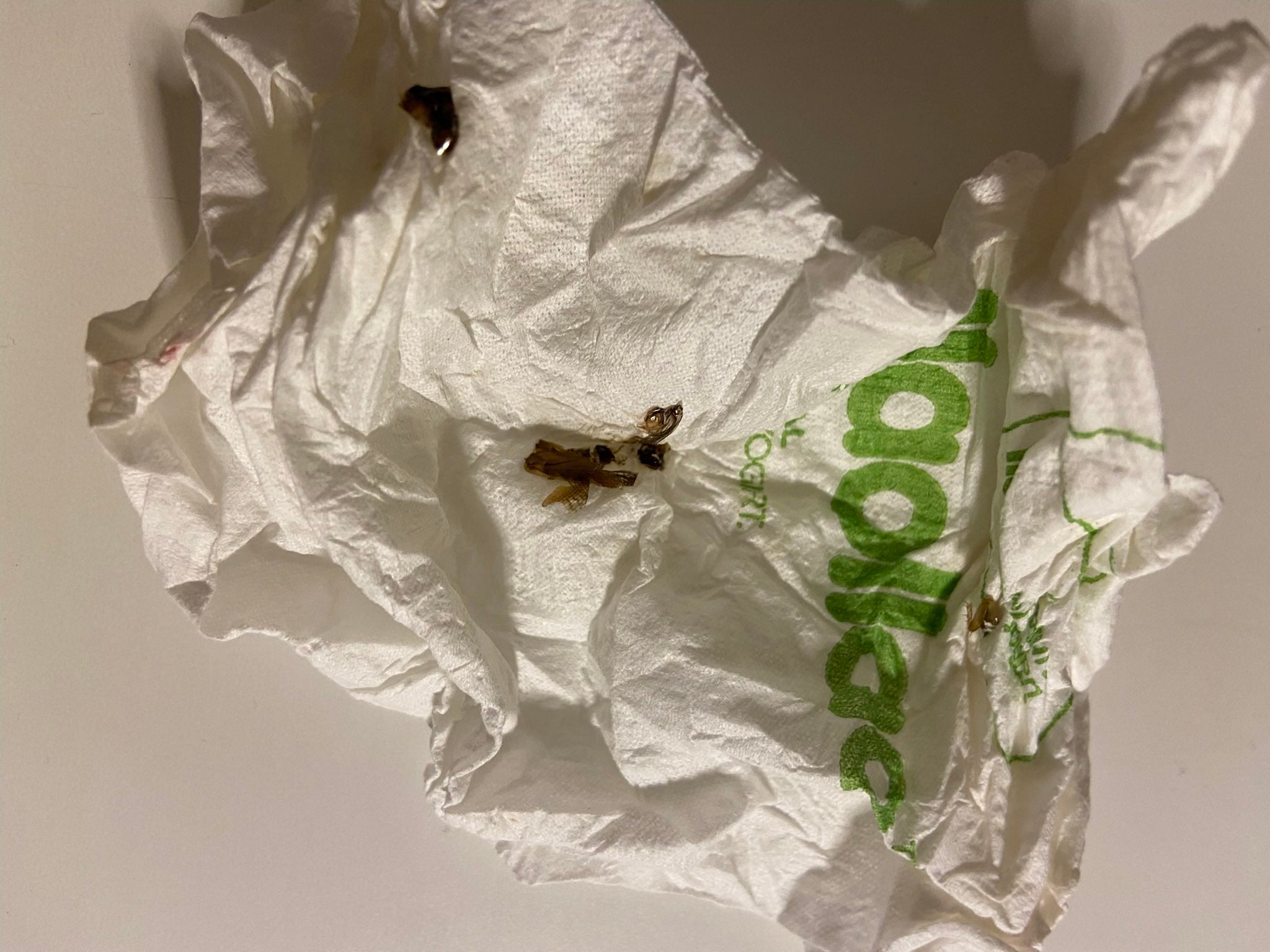 喝完咖啡吓了一跳！顾客：天啊 我咬了蟑螂！