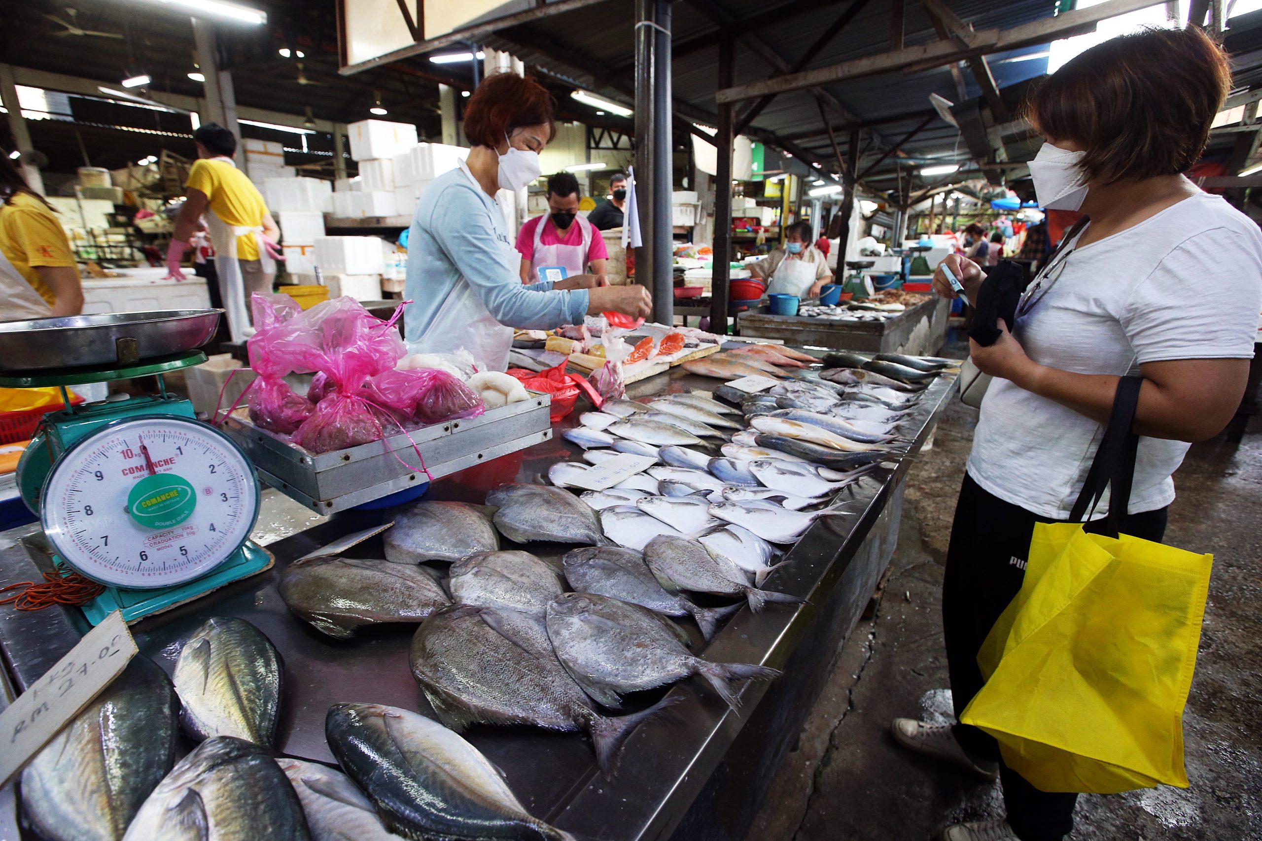 大都会 / 天气等因素导致海产量减少及相关情况