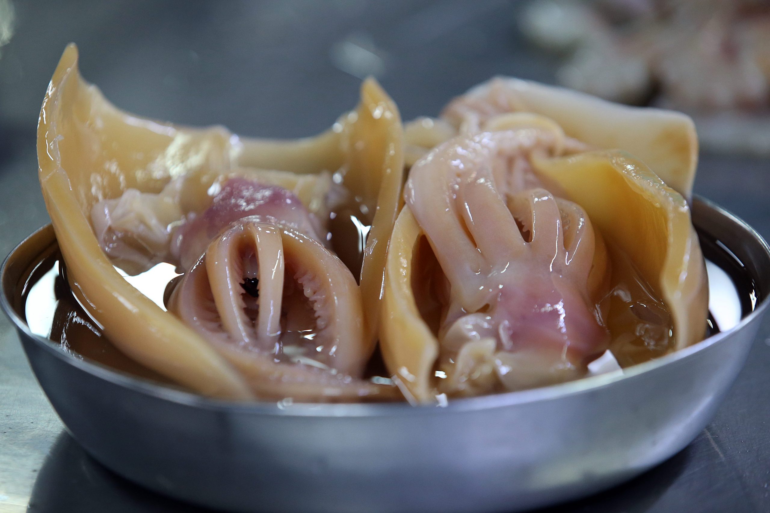 大都会 / 天气等因素导致海产量减少及相关情况