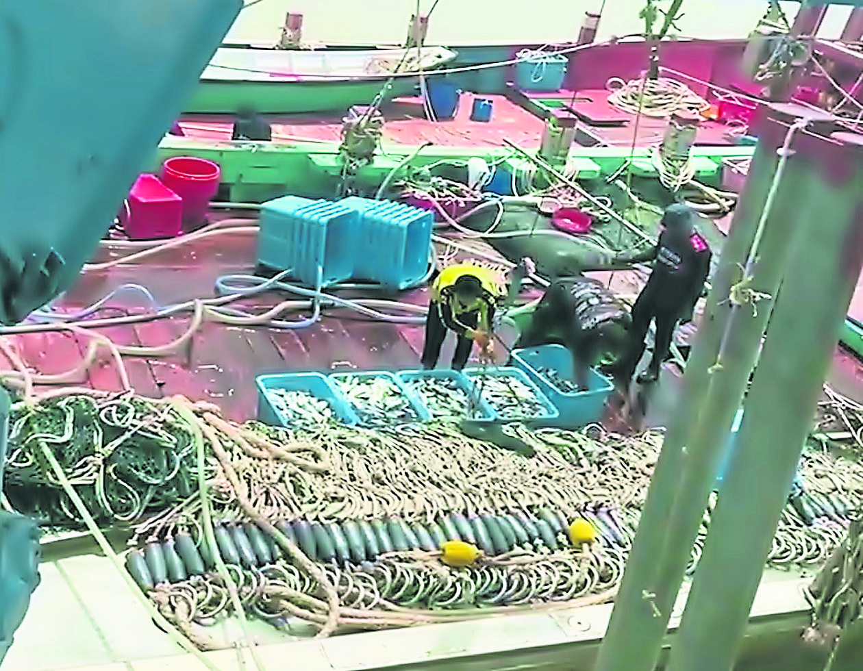 大都会 / 天气等因素导致海产量减少及相关情况