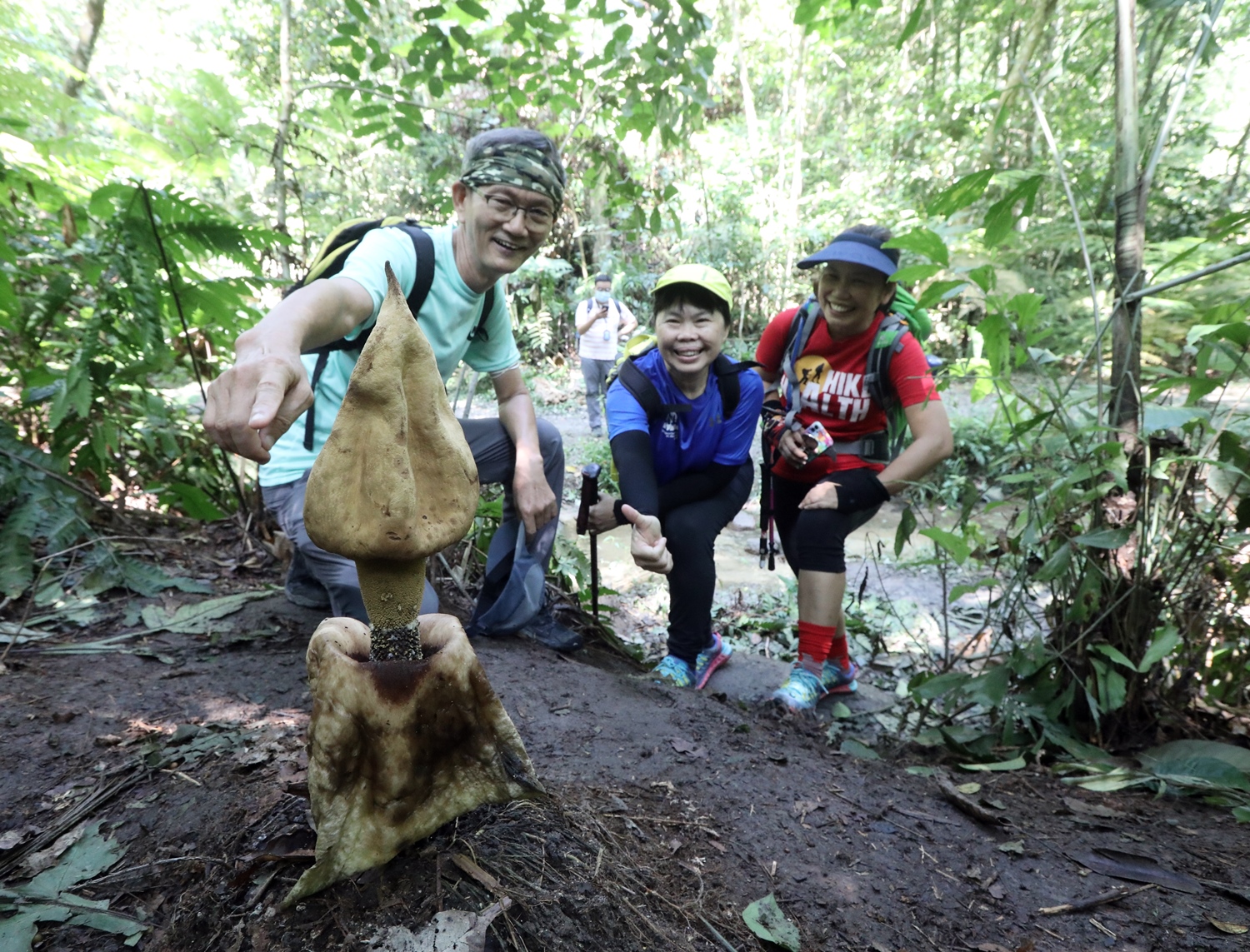 大都会-登山客在武吉加拉山发现罕见植物