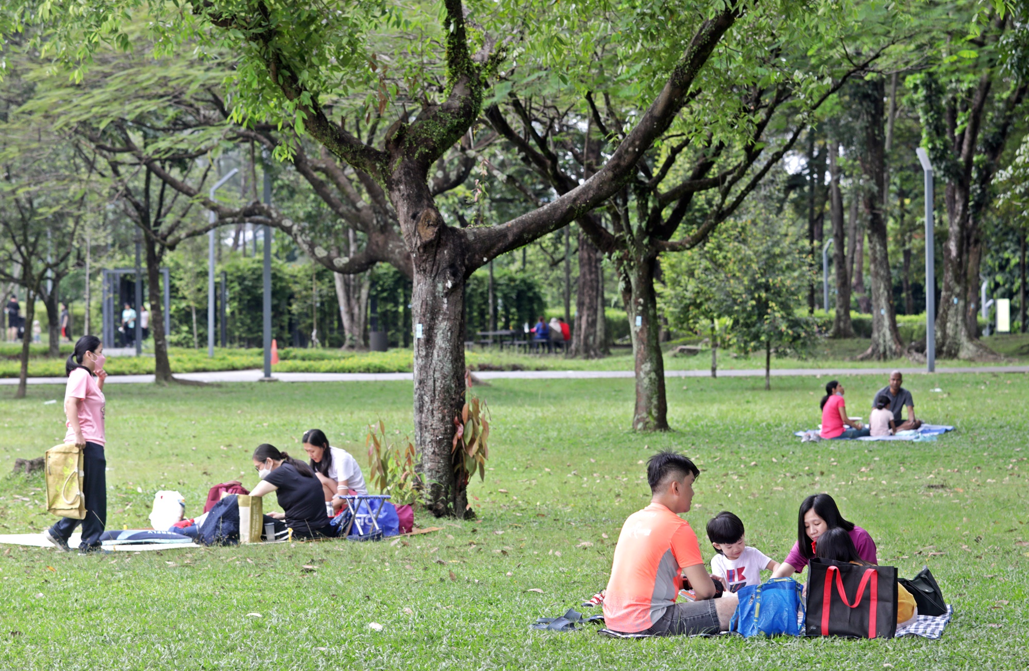 大都会/帝帝皇沙湖滨公园人潮