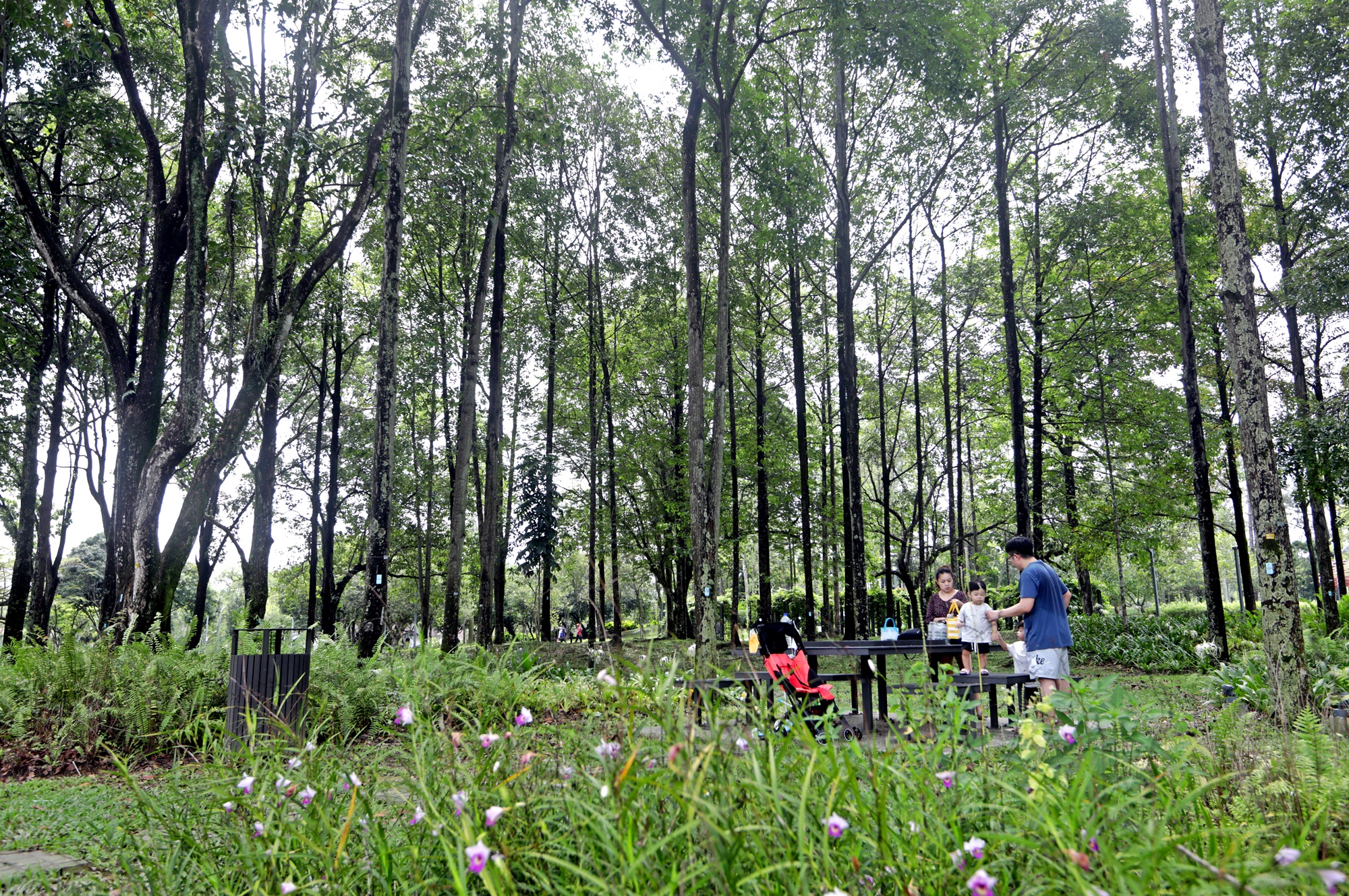 大都会/帝帝皇沙湖滨公园人潮