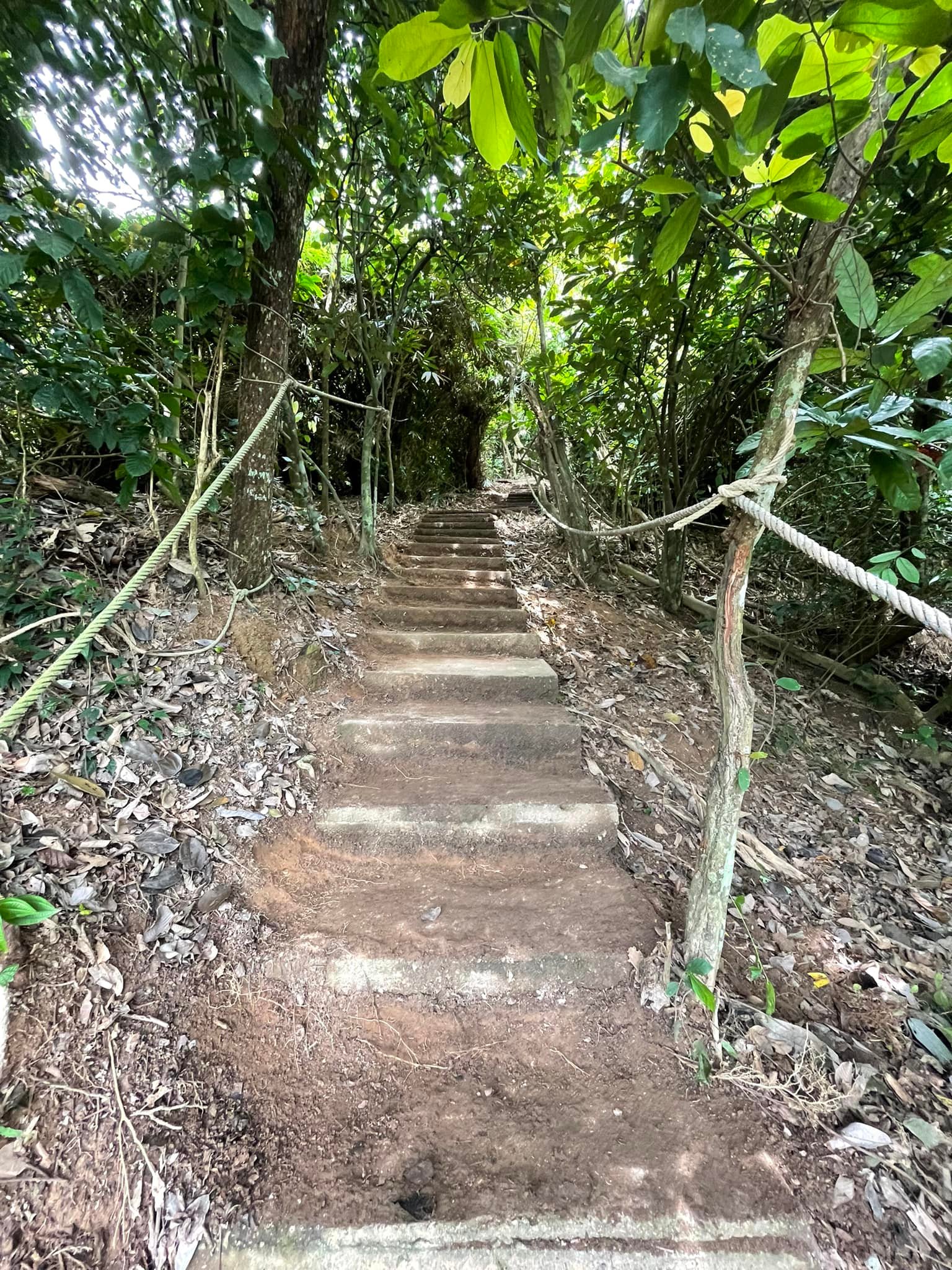 大都会/沙沙兰武吉山华丽转身盼成登山景区/6图