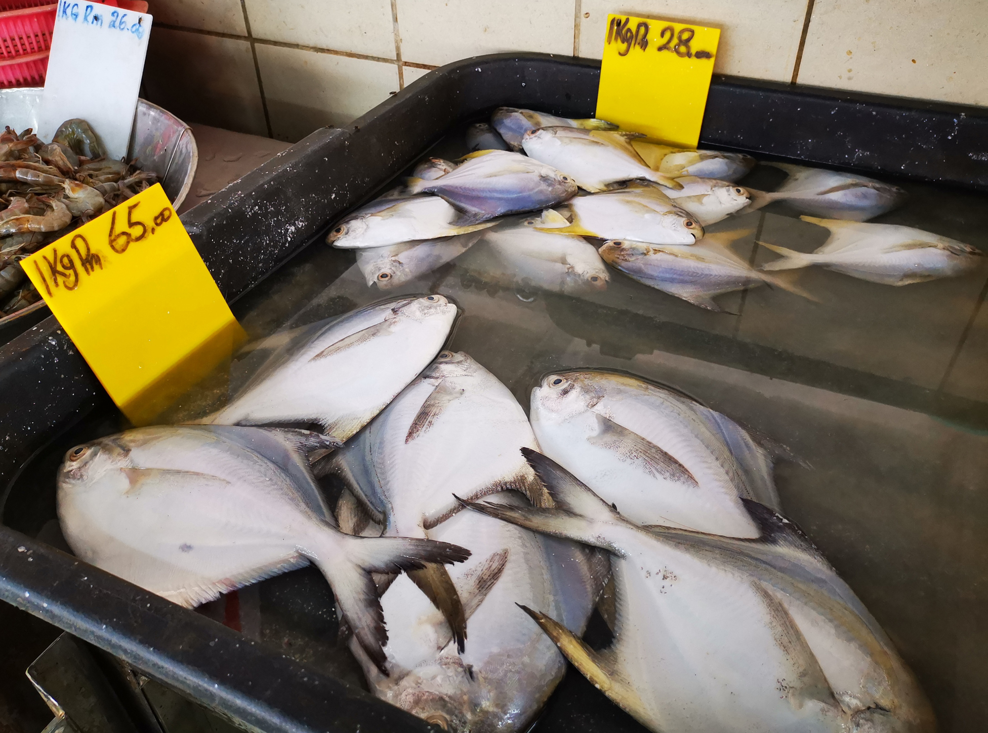 大霹雳时事焦点/海上恶劣天气渔船减出海 市场高档鱼缺货