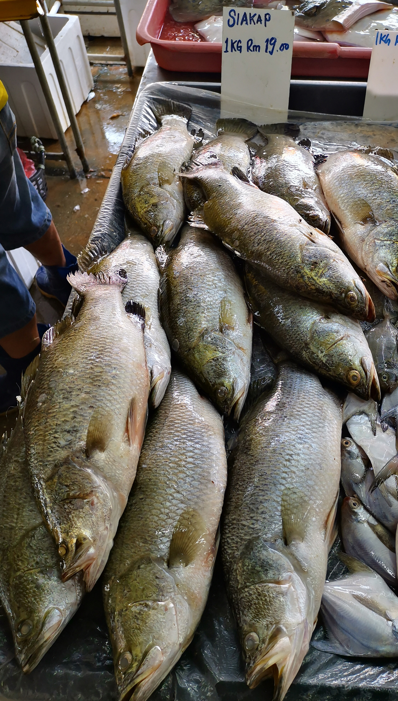 大霹雳时事焦点/海上恶劣天气渔船减出海 市场高档鱼缺货