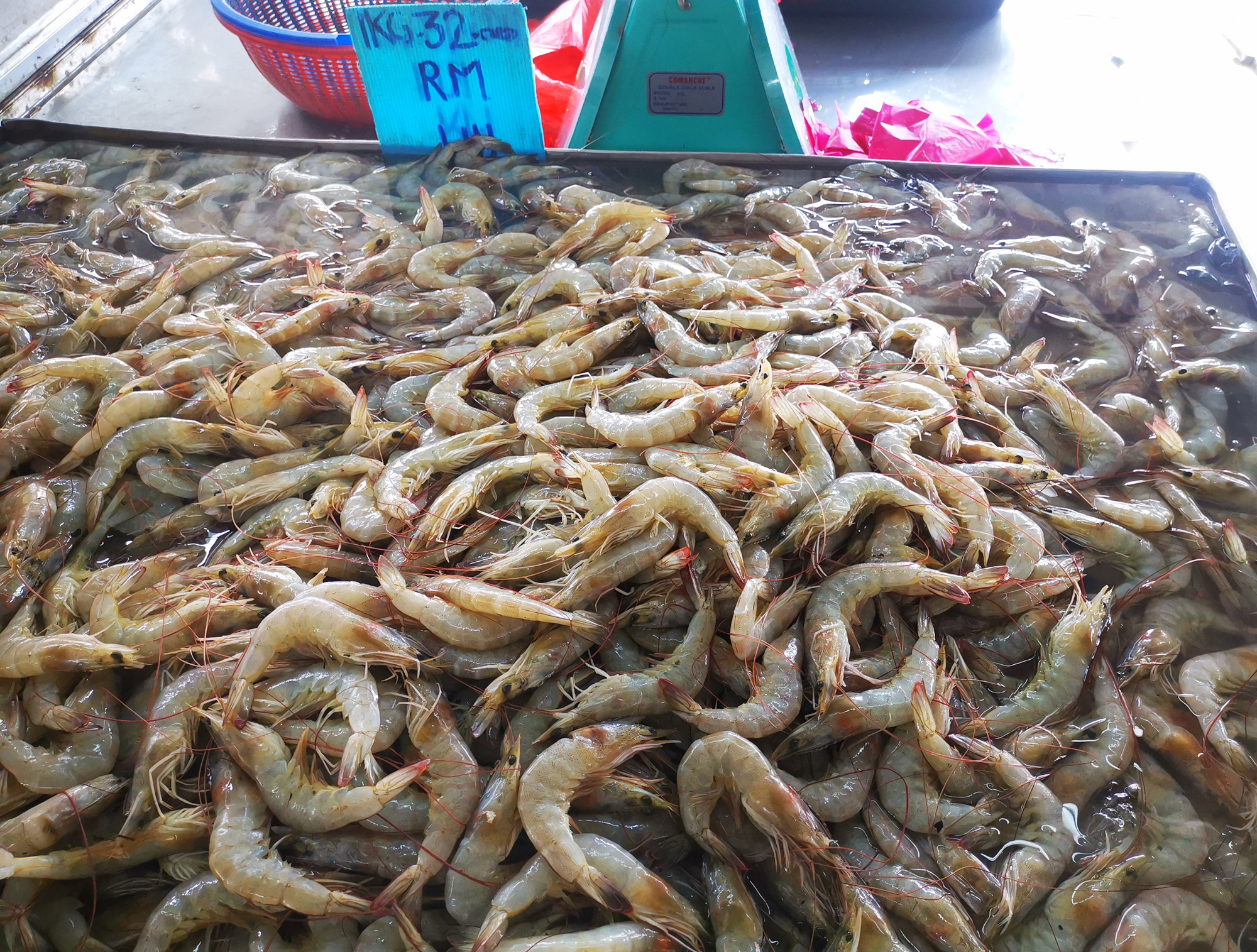 大霹雳时事焦点/海上恶劣天气渔船减出海 市场高档鱼缺货