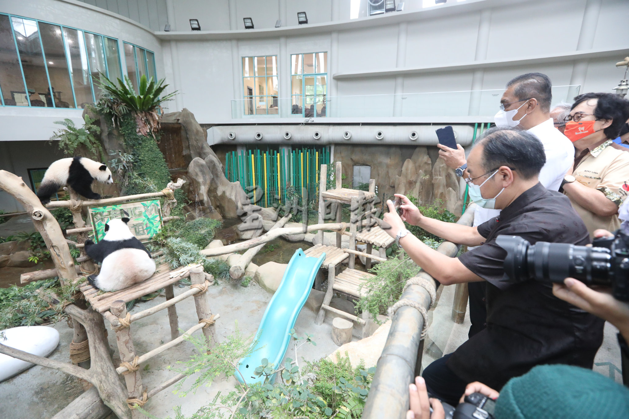 大马第三只熊猫“升谊”名字有因!