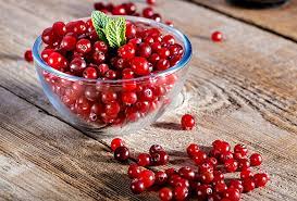 天天吃蔓越莓好处多 新研究:增进记忆力再降坏胆固醇