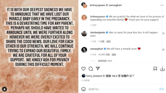 宣告有喜才1个月 碧妮史毕丝自爆流产