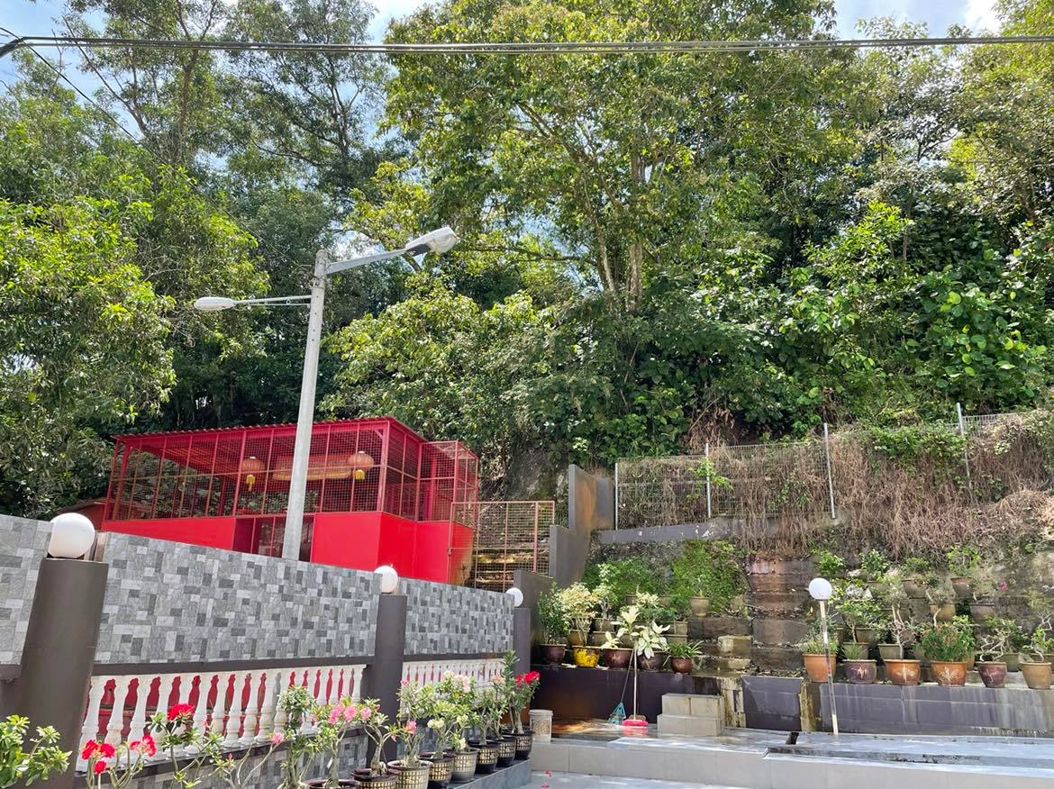 山背“秃”了一块民众有感城市象征遭毁,南峇山私人土地开发引关注