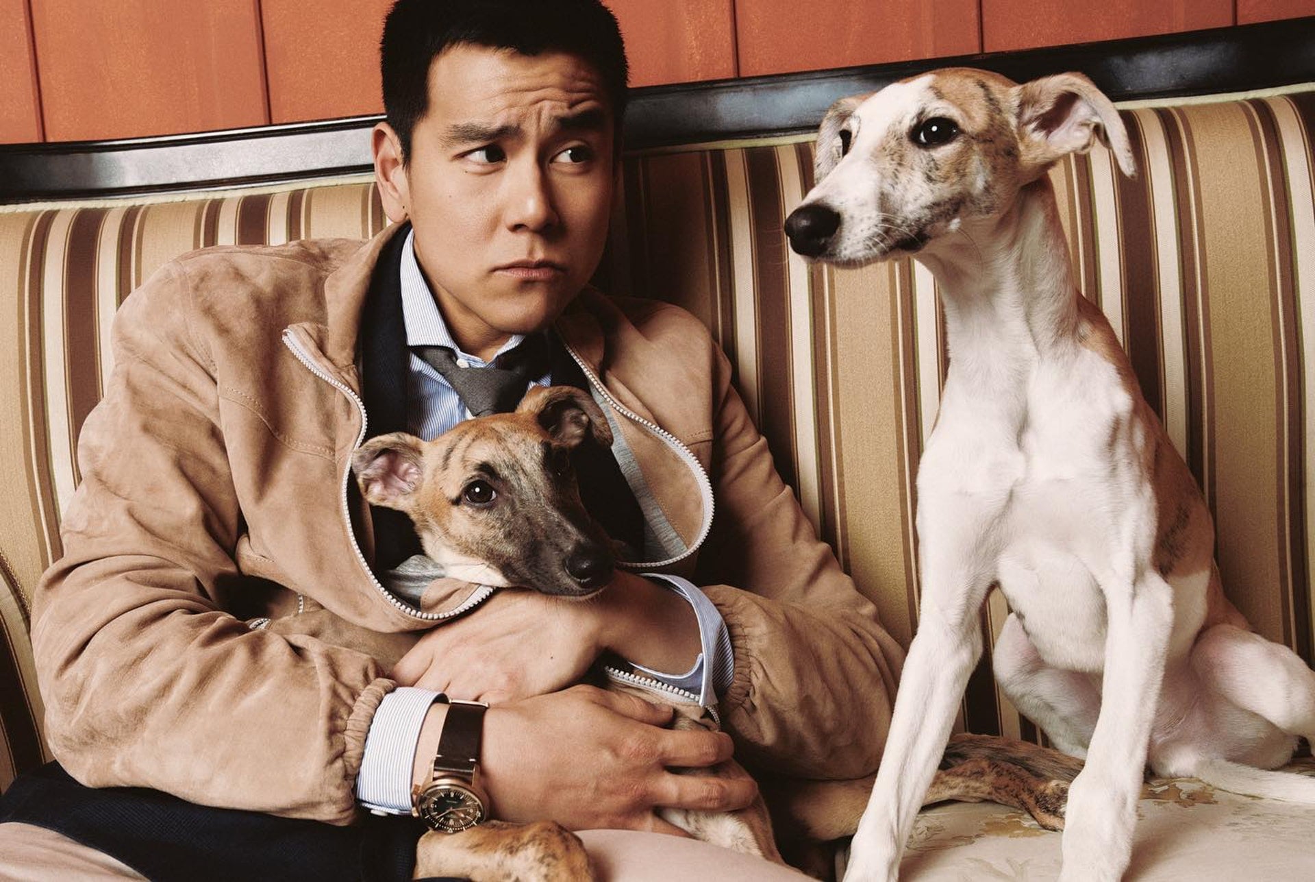 彭于晏晒狗意外引热议 网民:大脚趾为什么那么短