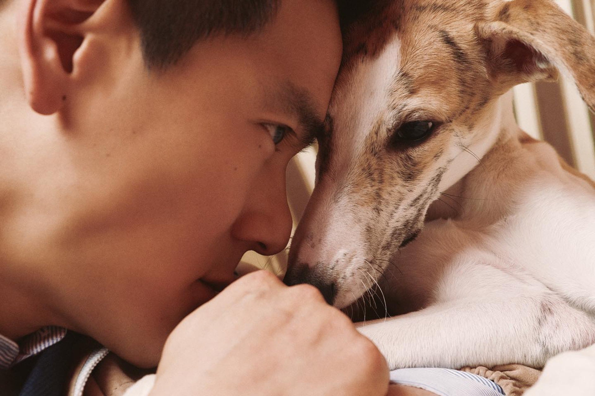 彭于晏晒狗意外引热议 网民:大脚趾为什么那么短