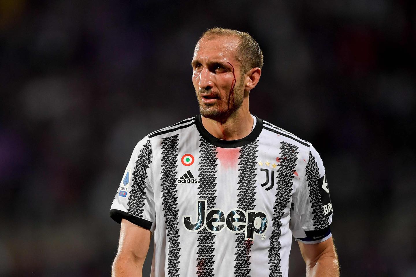 意甲|完胜无心恋战祖云 紫百合喜获欧战券