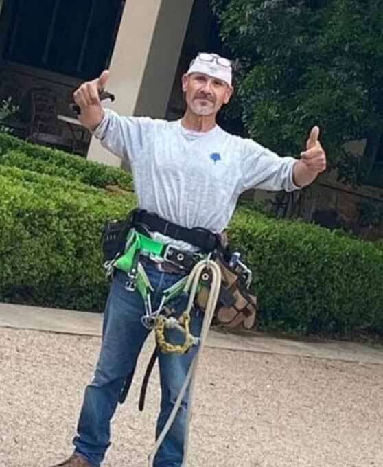 拼盘/男误触蜂窝安全带卡住 被狂螫10分钟吊死树上