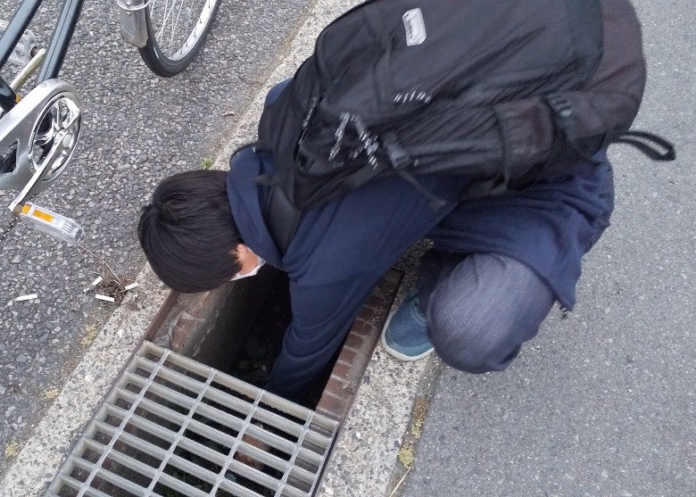 拼盘/逃生兼顾执垃圾 学生创生存游戏助环保