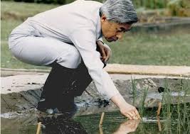 日本上皇明仁搬家后首外出 赴皇居继续鱼类研究