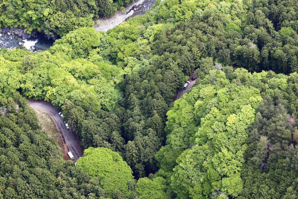 日本山梨县山区发现人骨 DNA与3年前失踪女童一致