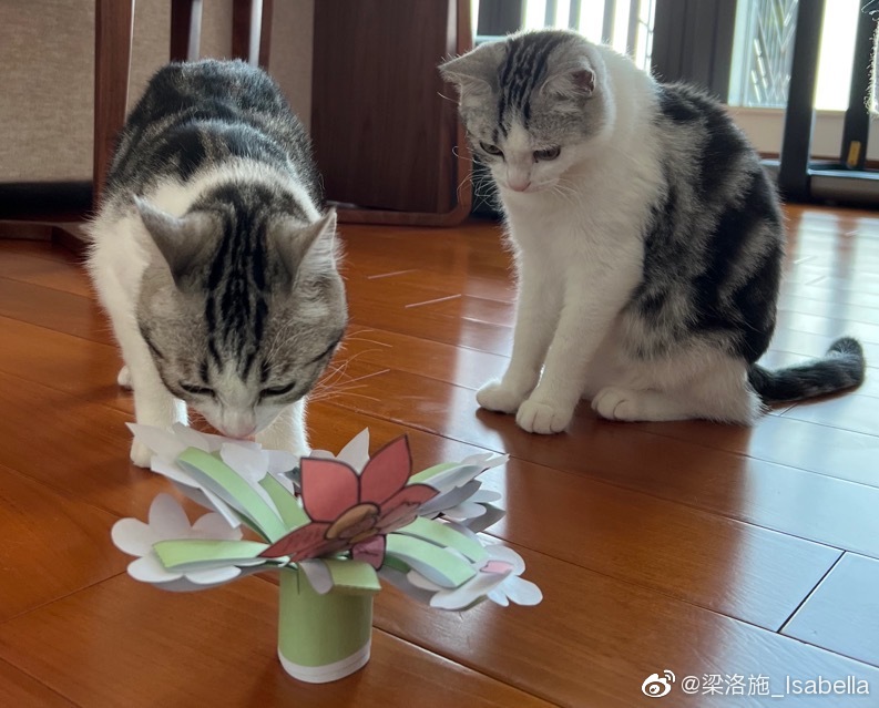 晒3儿自制母亲节礼物   33岁梁洛施少女味十足