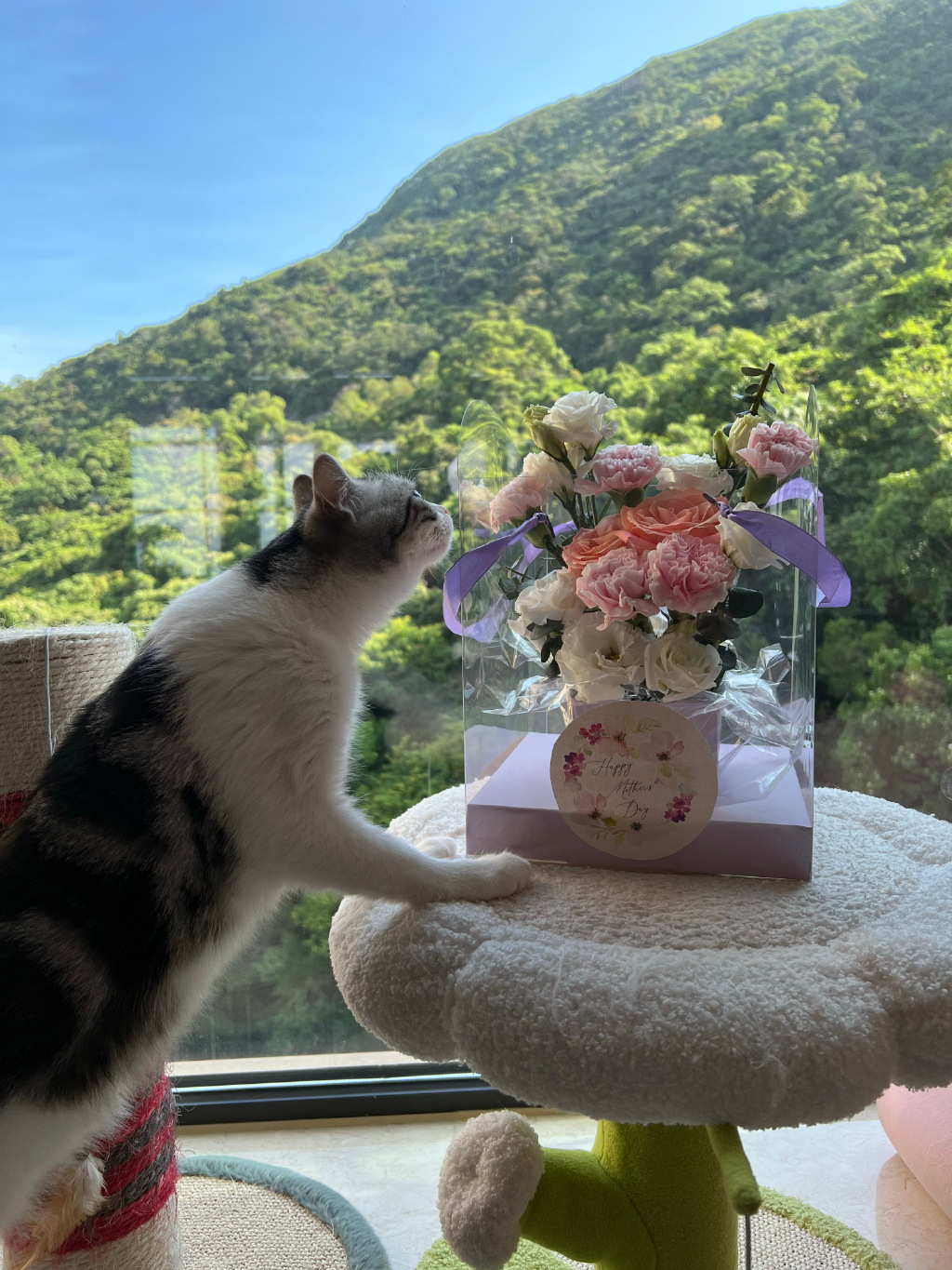 晒3儿自制母亲节礼物   33岁梁洛施少女味十足