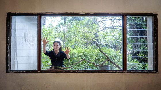 梦境与现实的界限故事──《甲虫の梦》舞台剧	