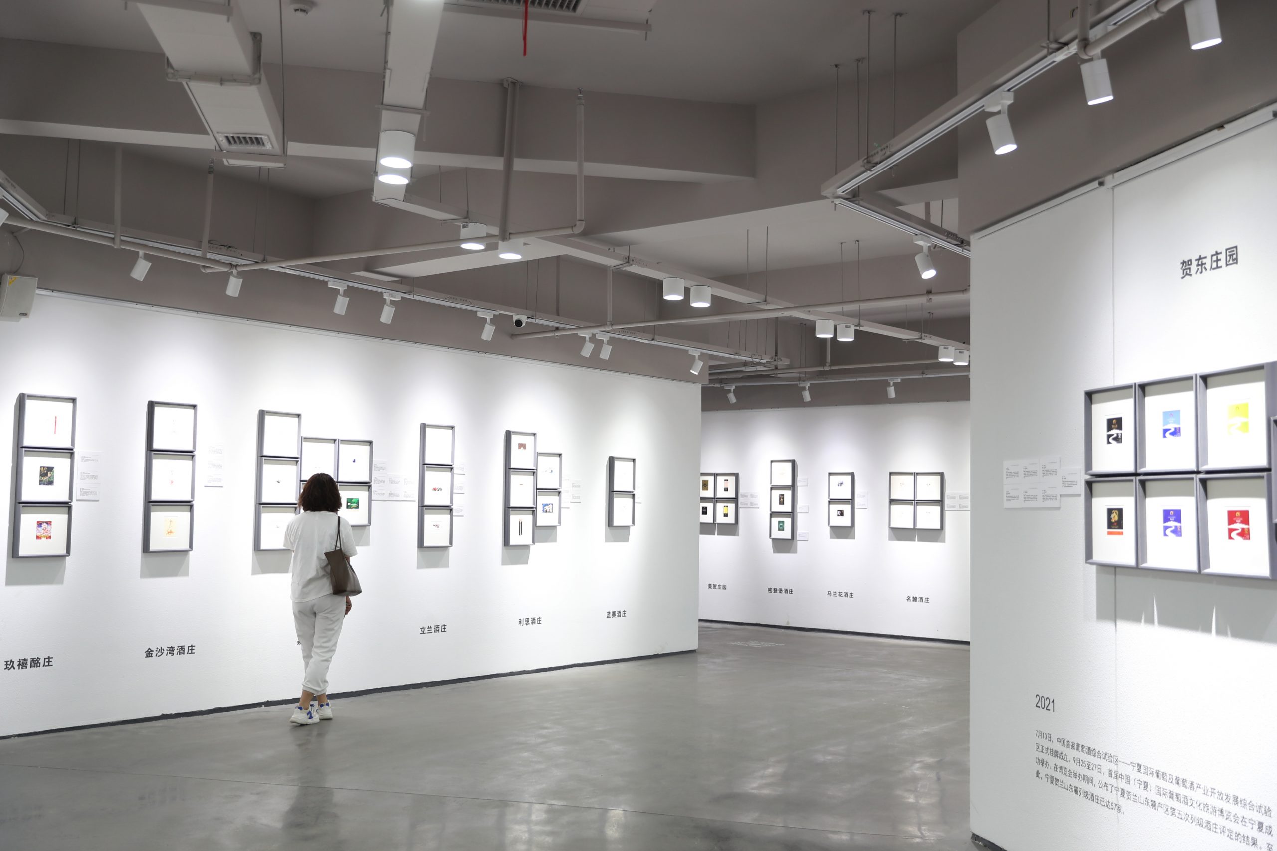 每日一展两图）中国规模最大葡萄酒酒标展览在宁夏开展