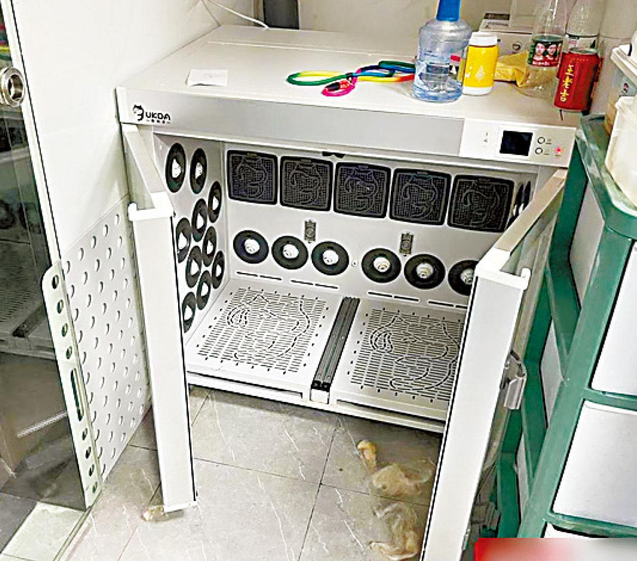 深圳体重45公斤黄金猎犬 疑洗澡后被硬塞小烘乾机中暑亡