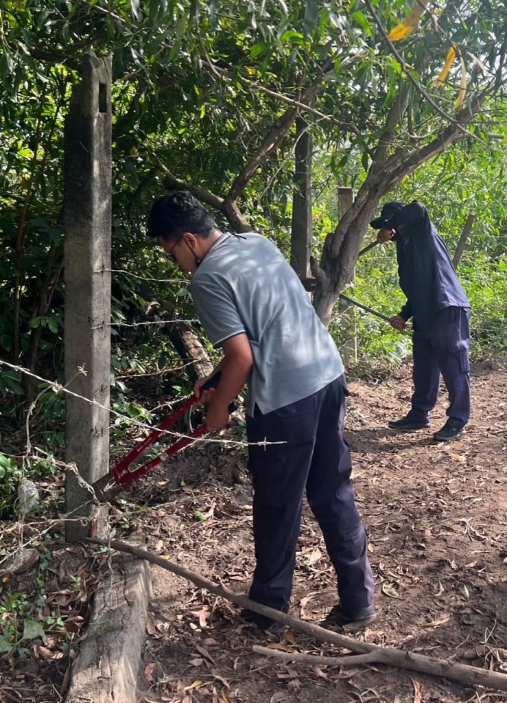 牙也县议会不再妥协 出动神手拆除非法牛棚