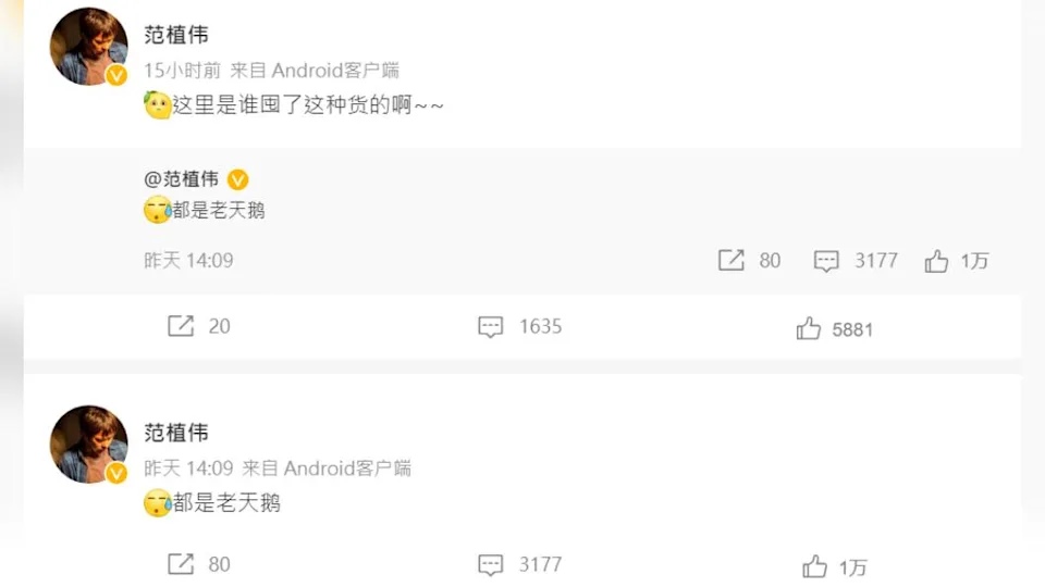 王心凌《乘风》爆红 疑遭渣男旧爱酸“老天鹅”