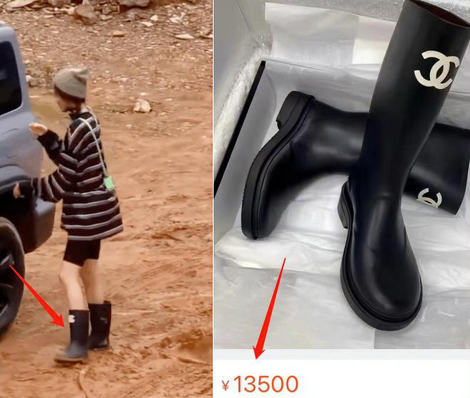 白天睡帐篷晚上住酒店？ 《花少4》被曝全员作秀