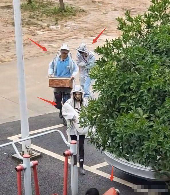 白天睡帐篷晚上住酒店？ 《花少4》被曝全员作秀