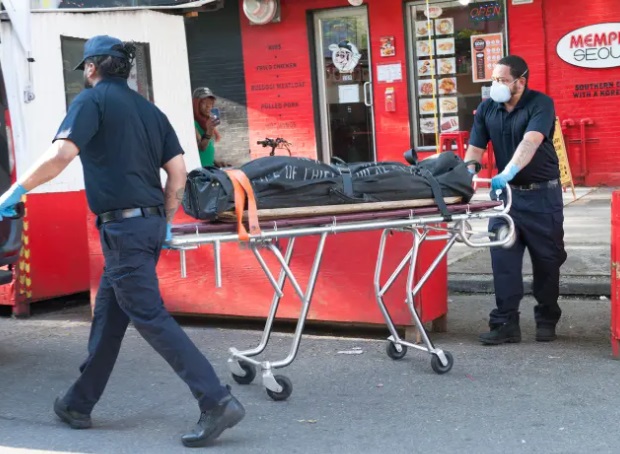 看世界/和比特犬同住!9岁女童陈尸家中“全身咬痕” 被恐怖妈活活打死