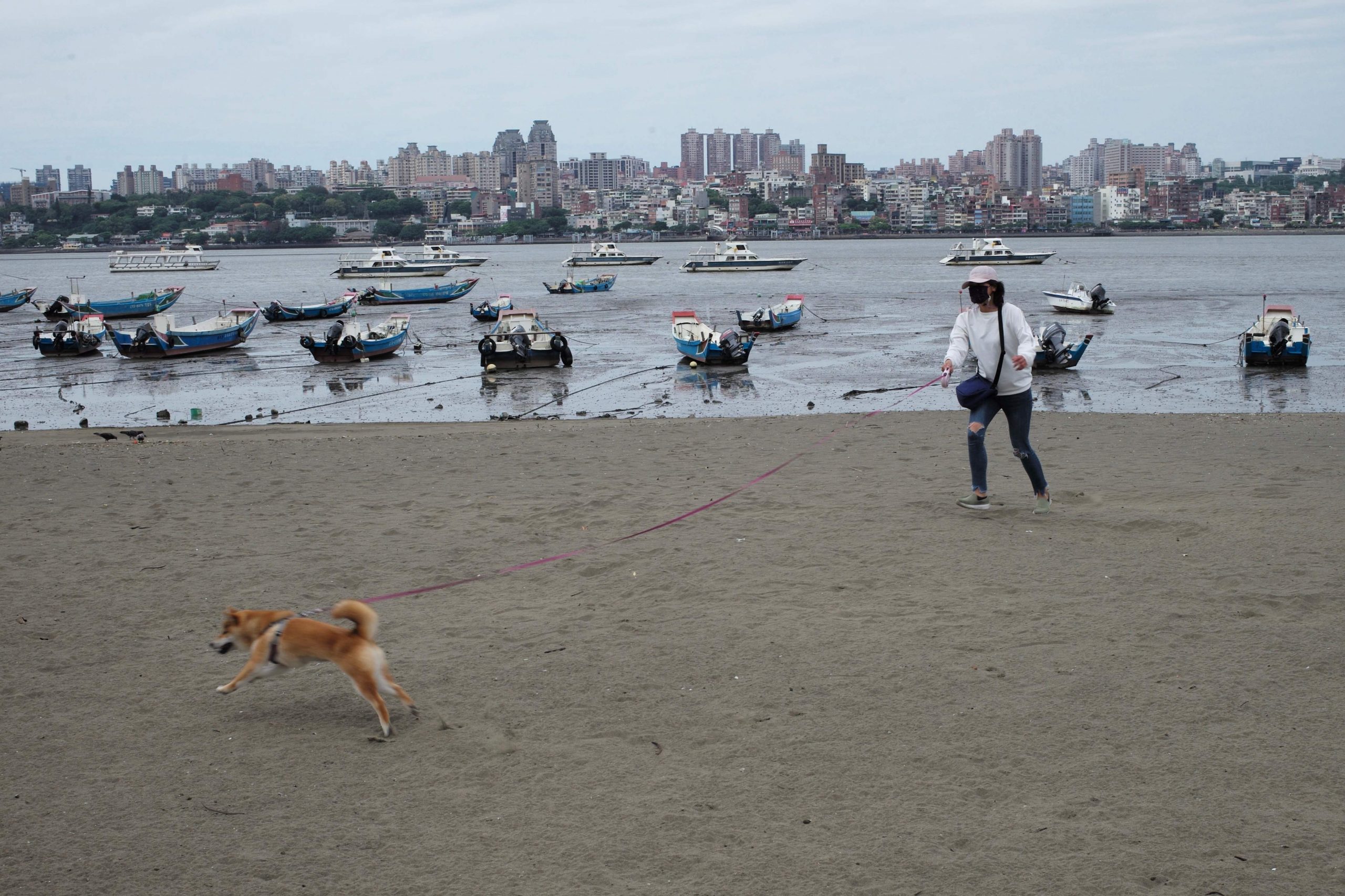 美CDC公布最新旅游警示!马台韩泰被列入“高风险等级”