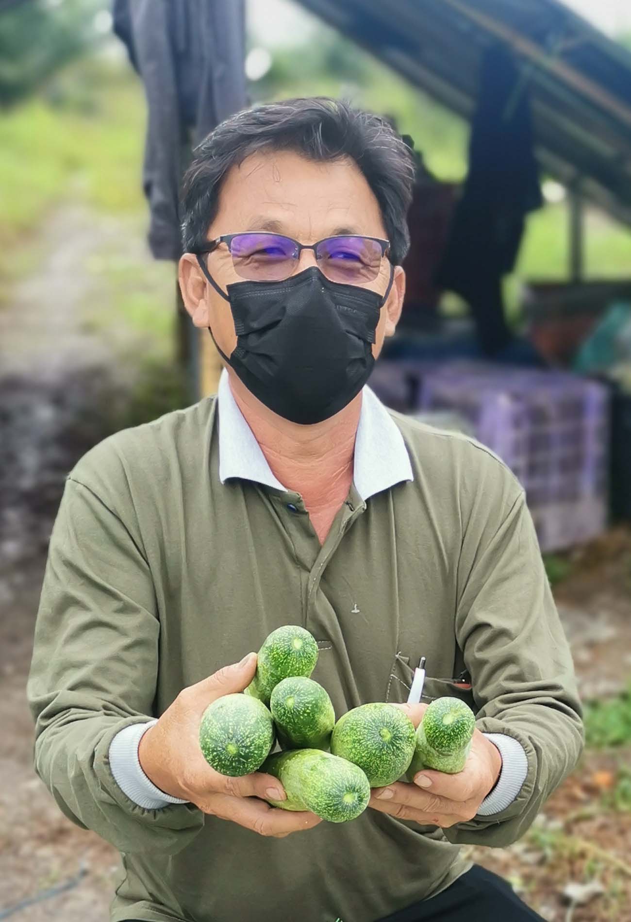 菜贩多未开业 平原菜供过于求跌价