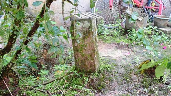 蔡羽/土地舌头上的征战故事