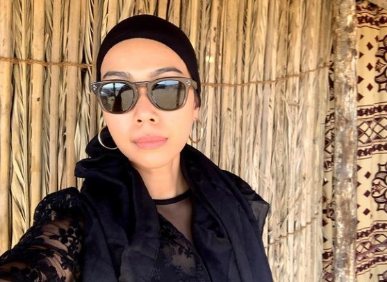 视频|“豪华厕所是幸福天堂？”  网民抨马来女星别乱来