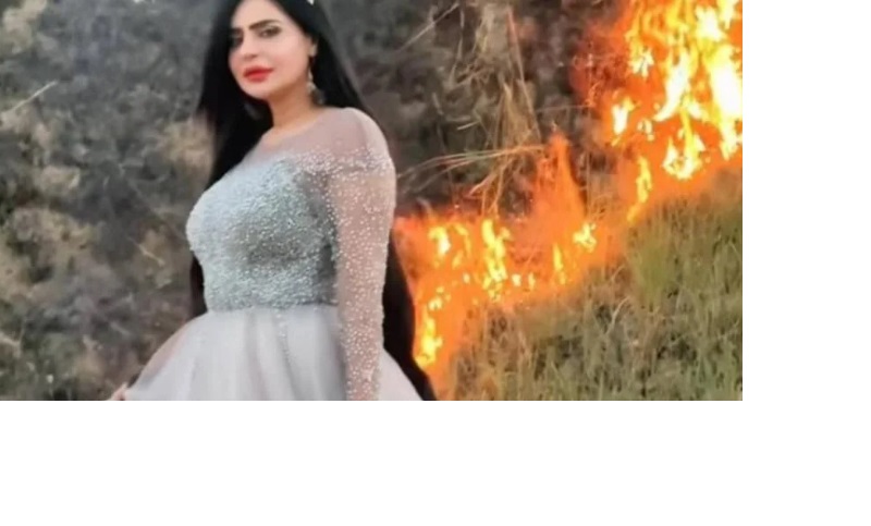 视频|为流量竟玩火！ 网红放火烧国家公园被控