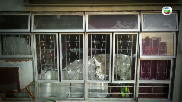 采访“恐怖老鼠屋”惨被袭击 《东张西望》主持利颖怡报警验伤