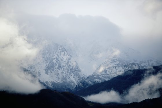 陈子韩／彩虹与野草