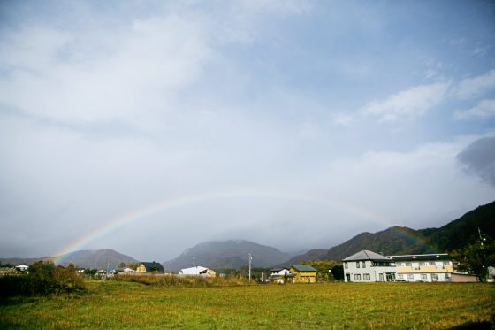 陈子韩／彩虹与野草