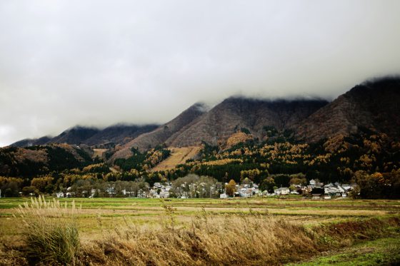 陈子韩／彩虹与野草