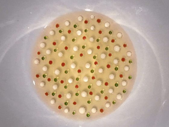  陈静宜／珍惜你爱的厨师