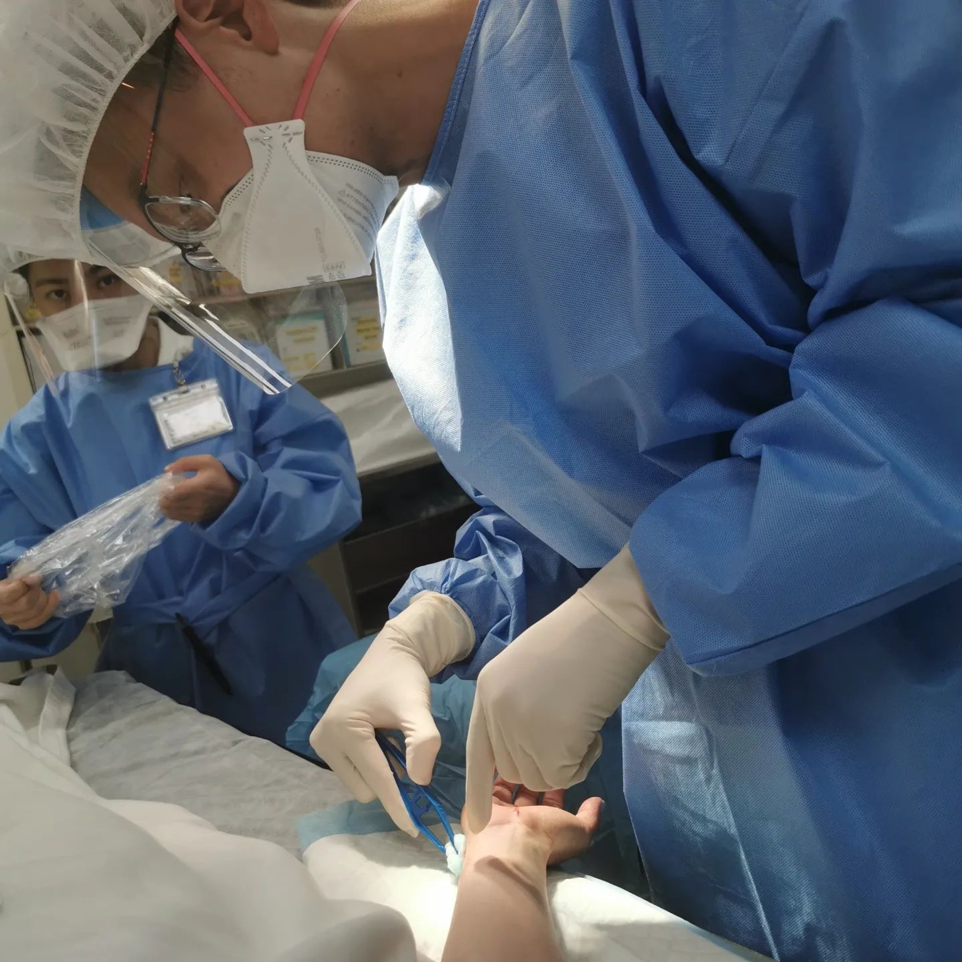 黎淑贤遭豹猫袭击 全身血迹斑斑紧急入院