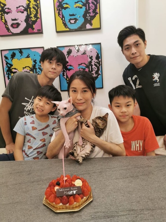 黎淑贤遭豹猫袭击 全身血迹斑斑紧急入院