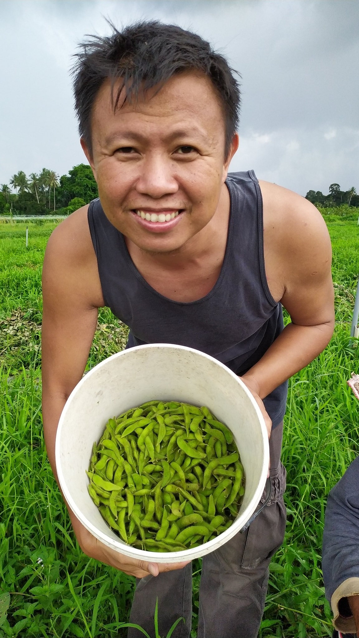 （29/5）有故事的人-吴锦雄（农夫）减用农药 吃下健康食物