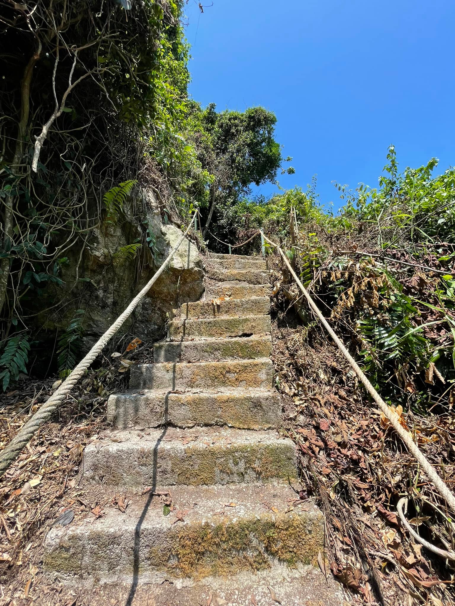 (副文)大都会/跟进武吉山人潮