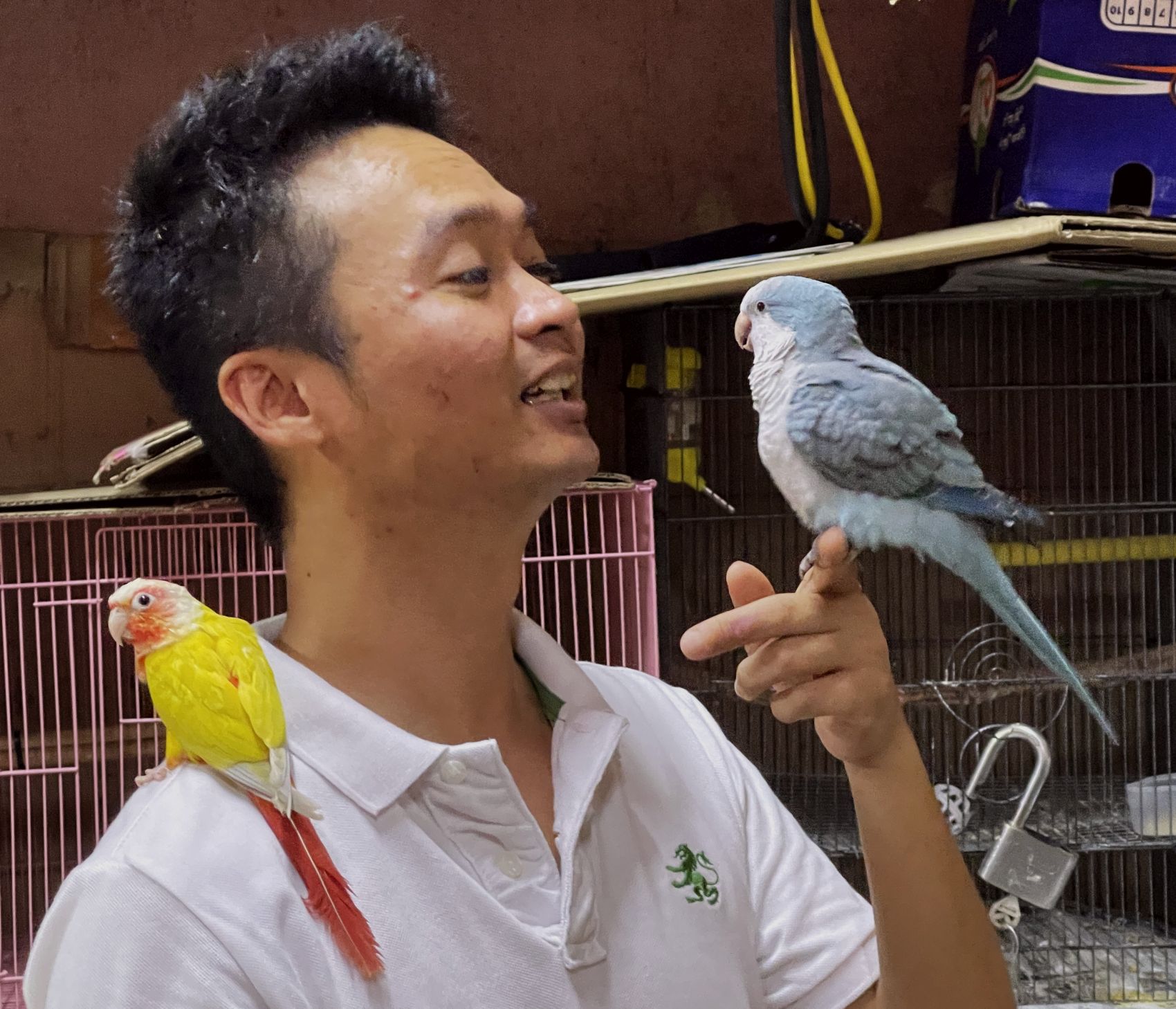 （古城封底主文）【带你去找爱】：放飞鹦鹉的爱